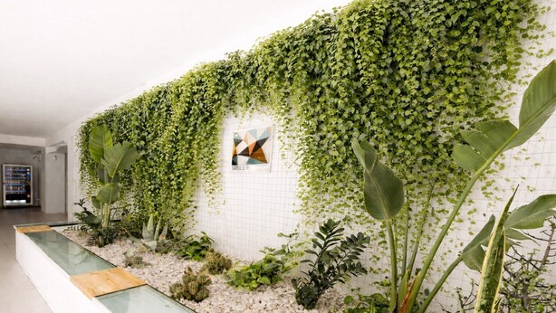 Una pared cubierta de hiedra verde, suelo de baldosas y un pequeño cuadro enmarcado.