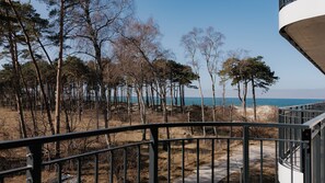 Apartment (12) | Balcony view