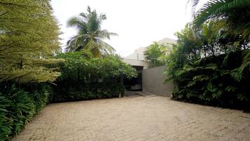 A paved courtyard with a palm tree and dense foliage.