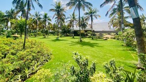 A well-maintained garden with palm trees and a lawn, likely part of a resort or hotel property. - Narayani Revtree - Resort & Villa (Hospet)