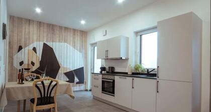 Neue Loft im alten Kelterhaus- Moselurlaub