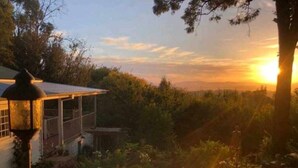 A garden with a gazebo, a patio table, and chairs. - The Hollies (Monbulk)
