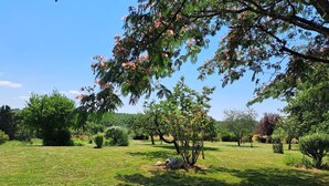 Un jardín bien cuidado con diversos árboles y arbustos, cielo despejado y césped.