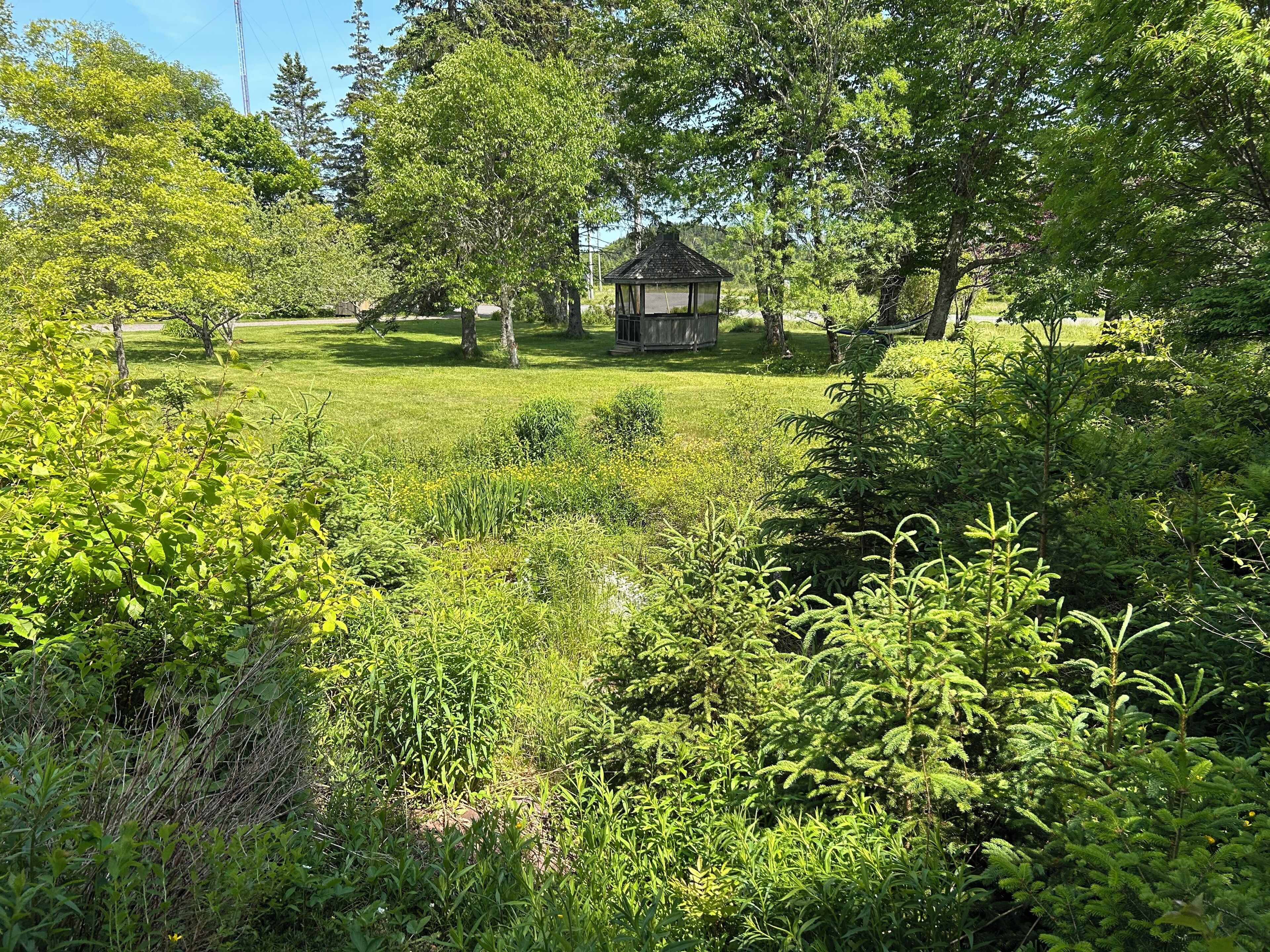 Àrea exterior de l'allotjament