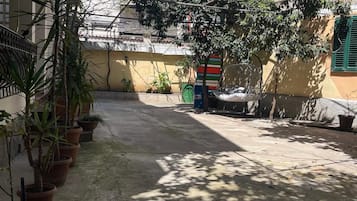 Vườn