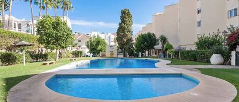 A swimming pool with a curved edge, surrounded by a grassy area and palm trees.