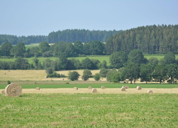 A rural landscape with hay bales in a field, trees, and a forest in the background. - Cozy Villa w/ Sauna and BBQ (Hattemerbroek)