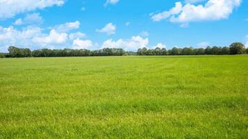 A wide, open grassy field with a clear blue sky and scattered clouds.