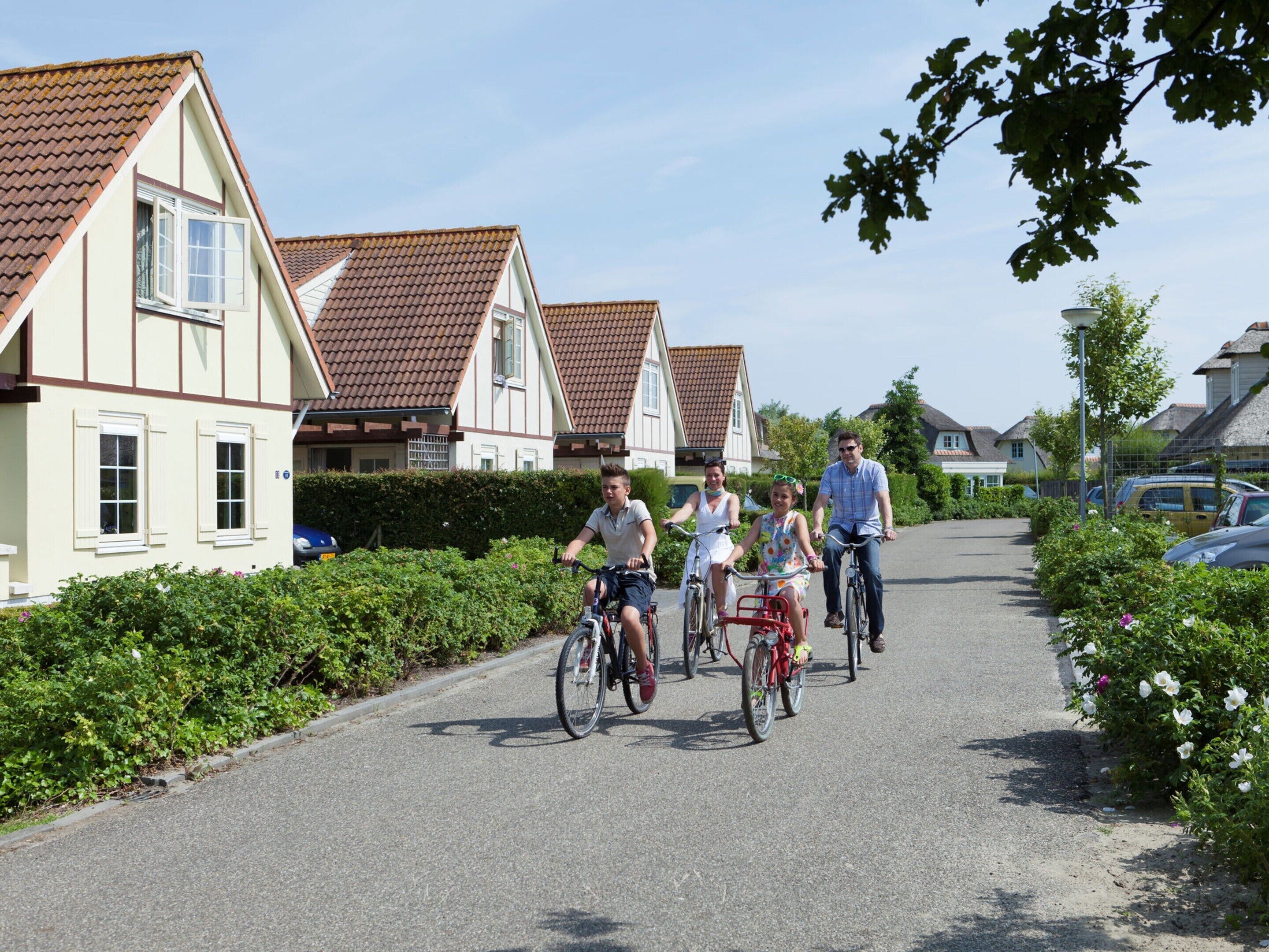 A residential street with houses on one side and a road for vehicles.