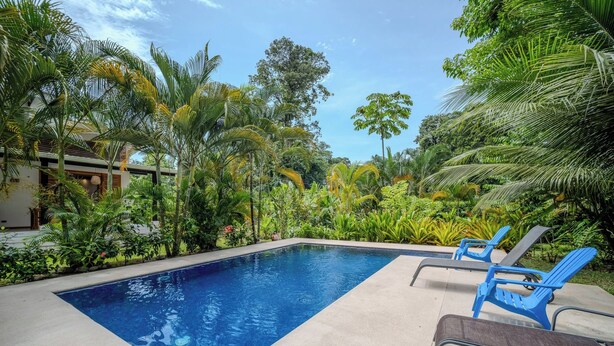 Una piscina rectangular con borde de hormigón, rodeada de exuberante vegetación tropical y un cielo despejado.