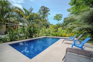 A rectangular swimming pool with a concrete edge, surrounded by lush tropical vegetation and a clear sky.