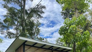 Une maison moderne dotée d’un patio couvert, entourée d’une végétation luxuriante et d’arbres.