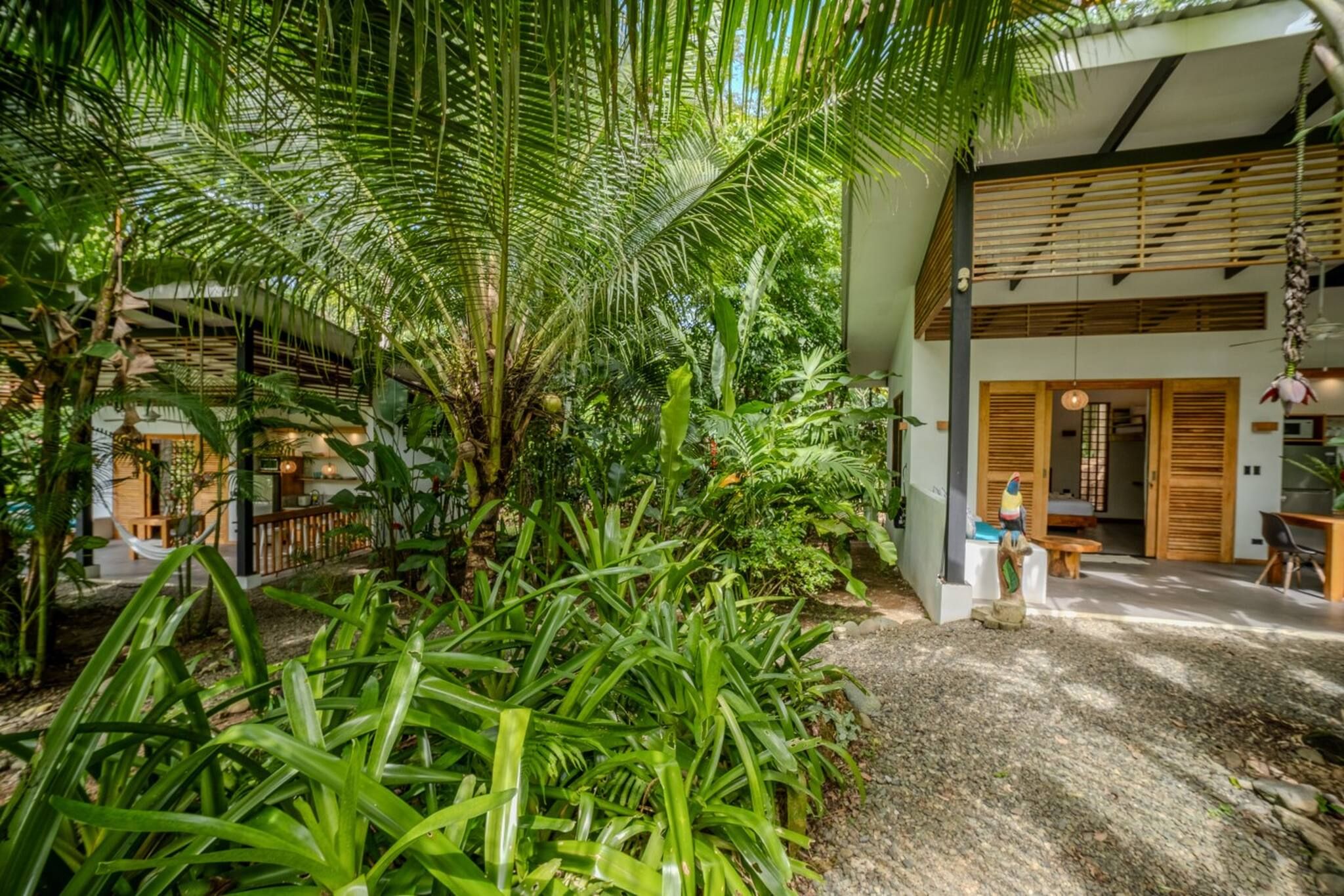 Un jardin tropical agrémenté de palmiers et un bâtiment moderne doté d’un intérieur en bois.