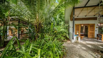 Un jardin tropical agrémenté de palmiers et un bâtiment moderne doté d’un intérieur en bois.