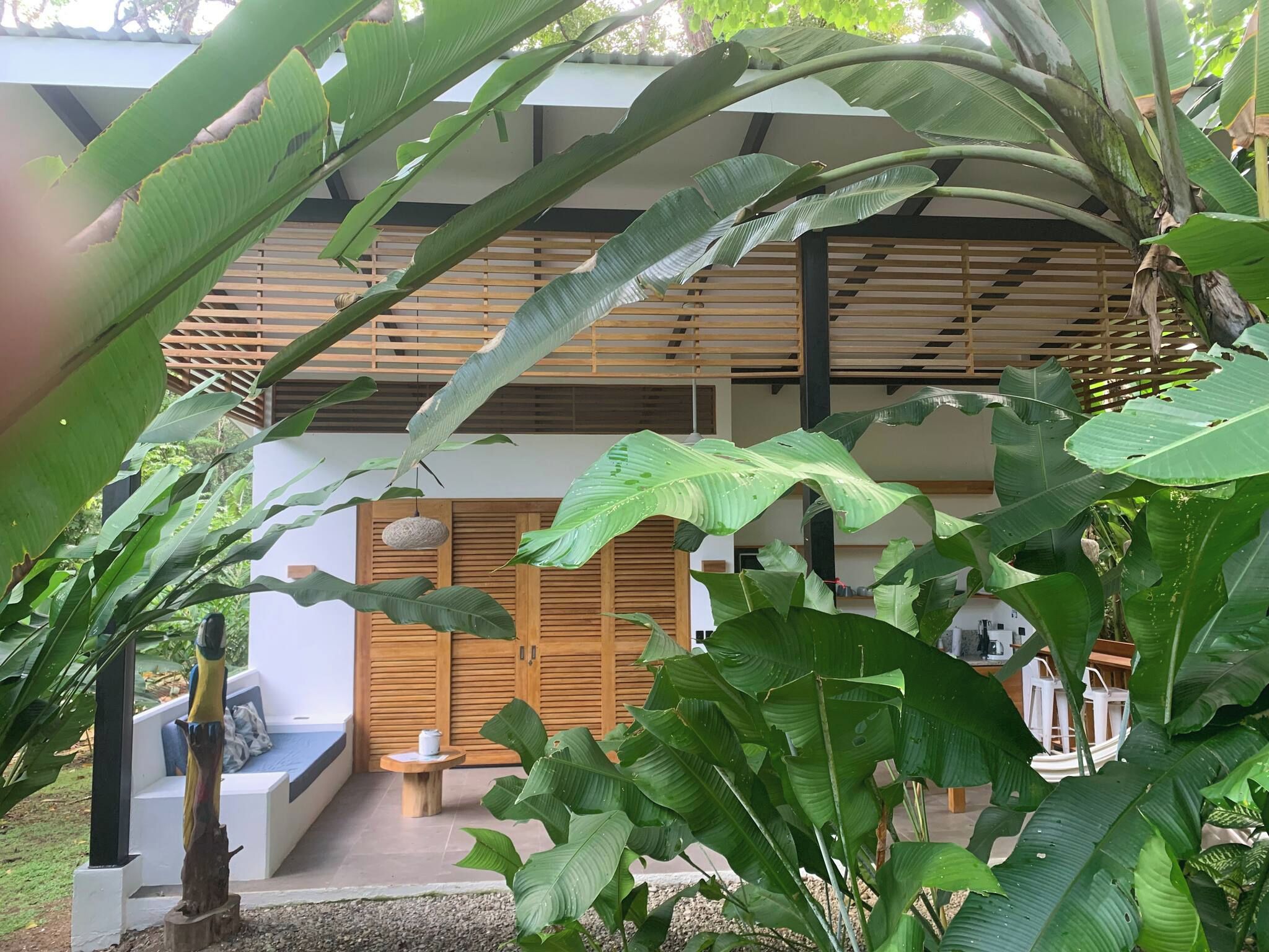 A modern house with a wooden balcony, large green leaves, and a stone wall.