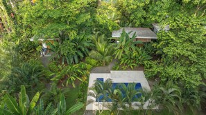A lush garden with a pool and a small building surrounded by dense foliage.