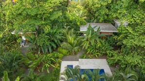 Un jardin luxuriant avec une piscine, entouré d’une végétation tropicale dense et d’un petit bâtiment.