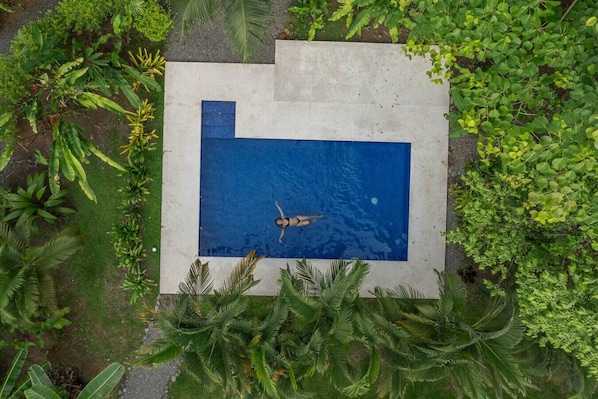 An aerial view of a rectangular swimming pool surrounded by lush greenery.