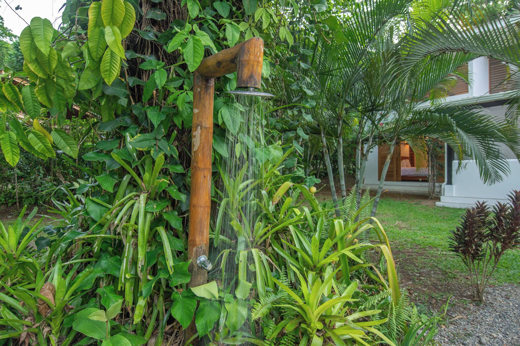 A wooden water feature with a spout, surrounded by lush greenery and a white building in the background.