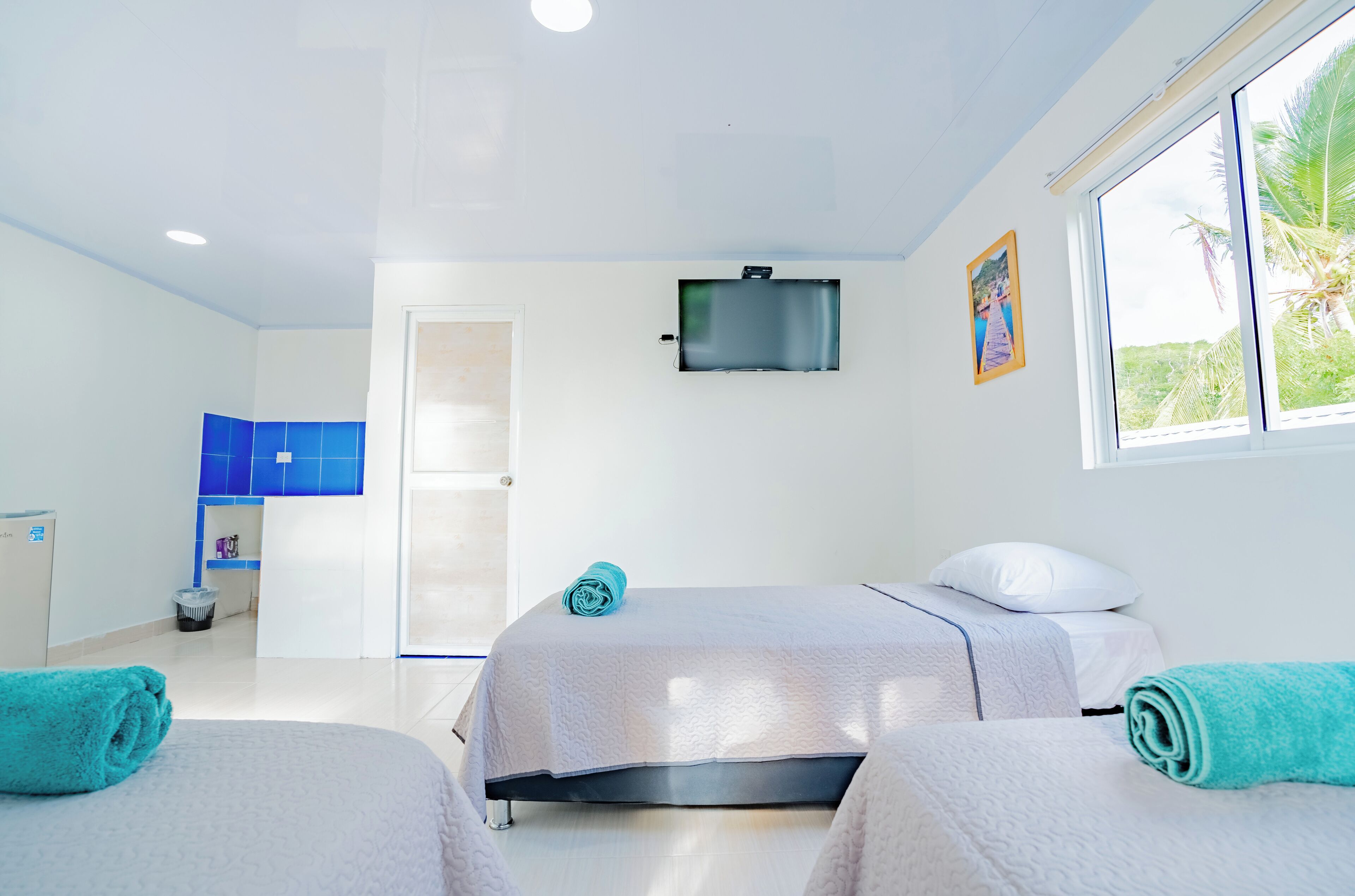 Habitación de hotel con dos camas, un televisor, una ventana que ofrece vistas a zonas verdes y un baño con zona de ducha azul.