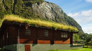 Une maison traditionnelle en bois, dotée d’un toit de chaume, située dans un champ verdoyant avec une montagne en arrière-plan.
