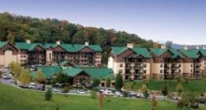 1Bed/1Bath Deluxe in the Stunning Smoky Mountains!