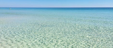 Playa en los alrededores