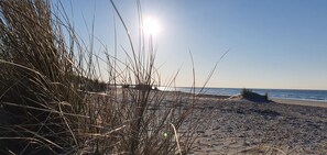 A beach with tall grasses and the sun shining. - Villa in Colijnsplaat by the Lake (Colijnsplaat)