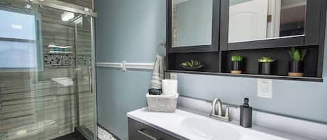 Shower, towels, toilet paper