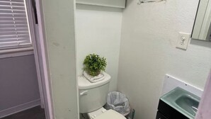 A small, compact bathroom with a toilet, a small sink, and a mirror. - Tiny home Rental (Houston)