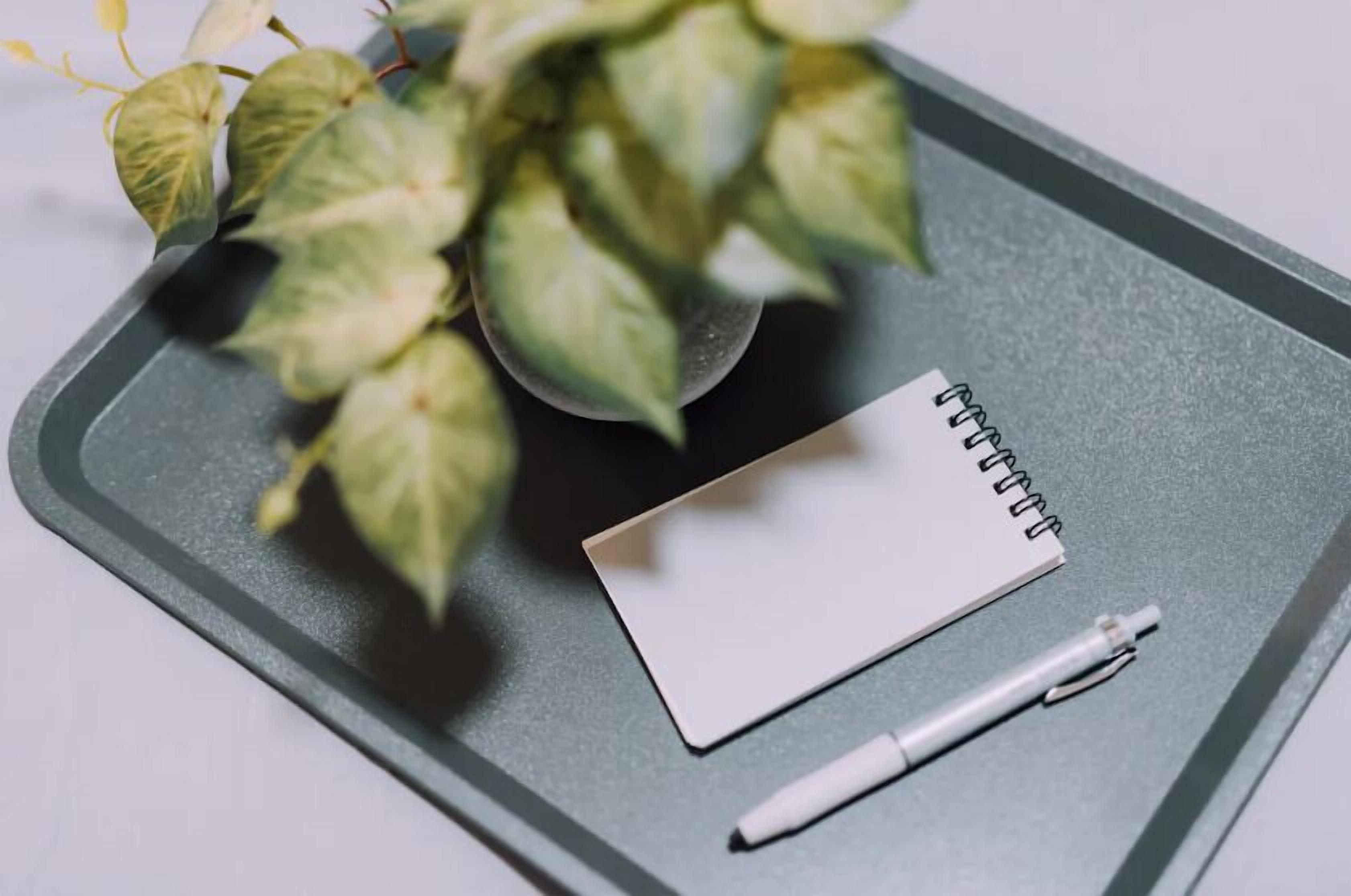 A tray with a potted plant, a notepad, and a pen.