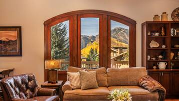 TV connectée, cheminée, jeux vidéo, livres