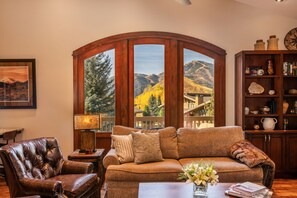 Smart TV, fireplace, video games, books