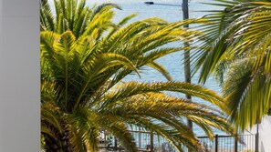 Property grounds - "Drifters" 6 - 3 William Street Noosaville QLD 4566 (Noosaville)