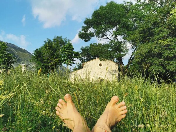 المنطقة المحيطة بالمنشأة