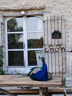 تفاصيل الفندق من الخارج