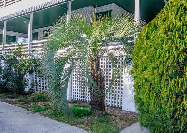 Détail de l’extérieur