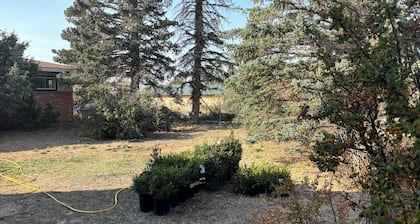 High Plains Getaway 4-bedroom 2 full bath in Laramie.