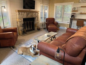 TV, fireplace, video games