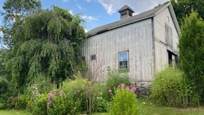 A rustic wooden building with a chimney, surrounded by lush greenery and flowering plants.