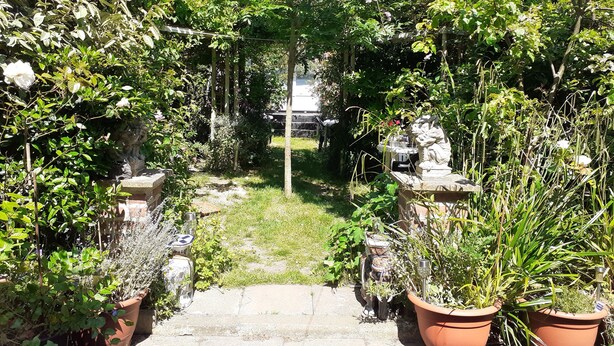 Property grounds - Charming 1-bed Cabin Hastings East Sussex (Hastings)