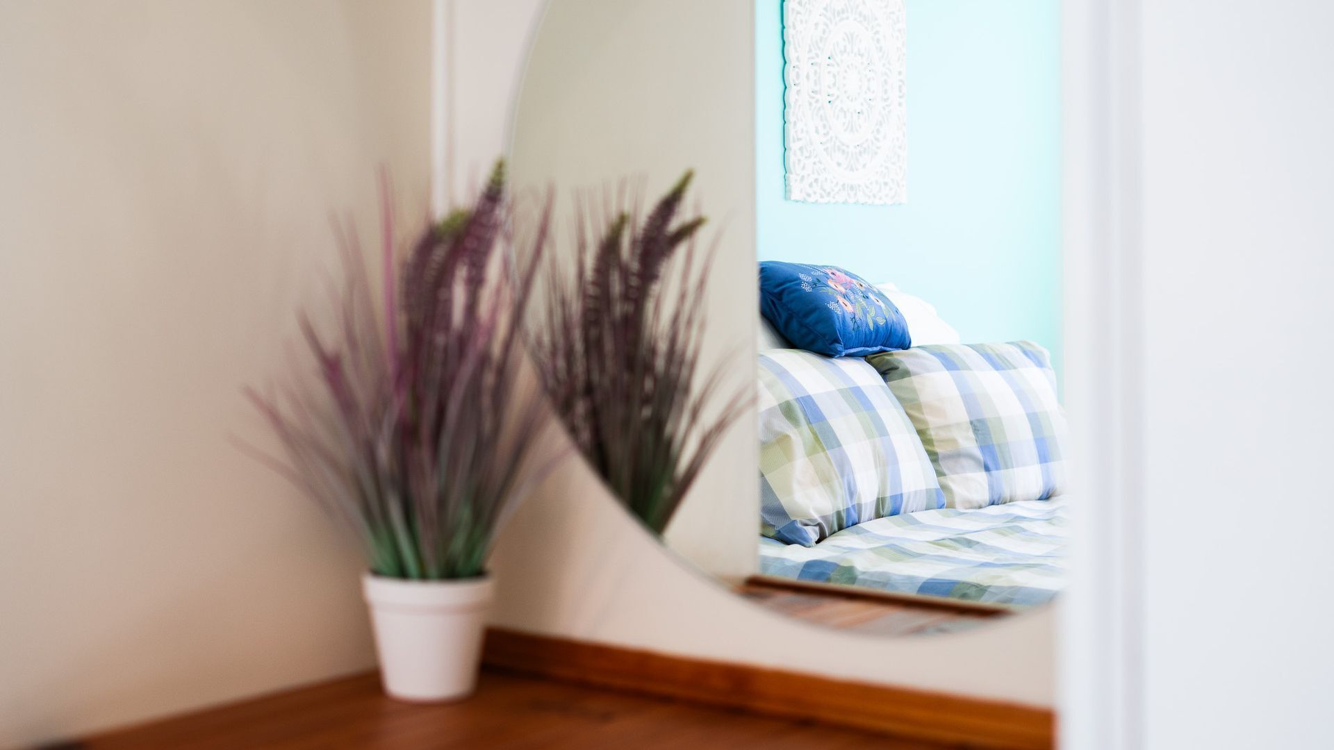 Un coin de pièce avec une plante en pot, dont le pot est blanc, et on aperçoit un lit recouvert d’une couverture à carreaux et orné d’un coussin bleu.