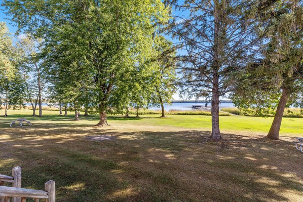 A park with picnic tables, trees, and a lake. - North Beach Resort (Park Rapids)