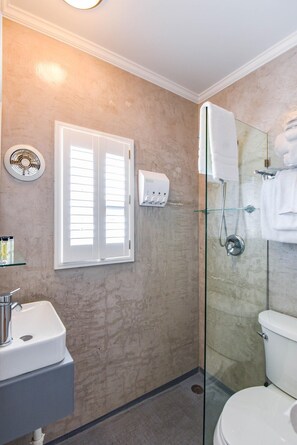 Regadera y secadora de cabello 