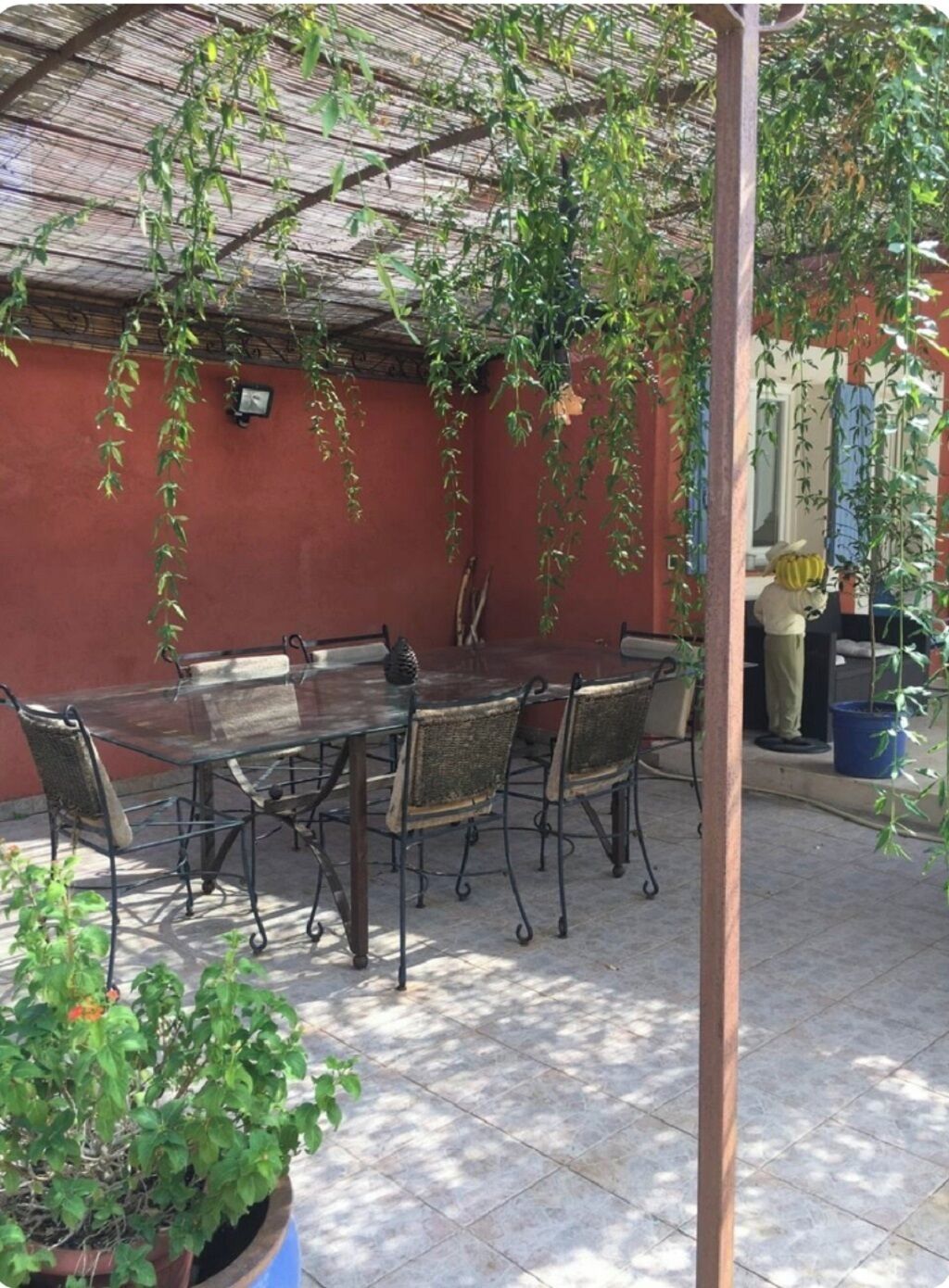 An outdoor patio with a wooden table and chairs, surrounded by potted plants and a red wall.