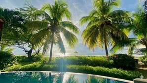 En pool omgiven av palmer och frodig grönska, med utsikt över havet.