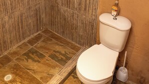 A bathroom with a shower, toilet, and a toilet brush.