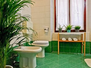 Shower, hair dryer, bidet, towels