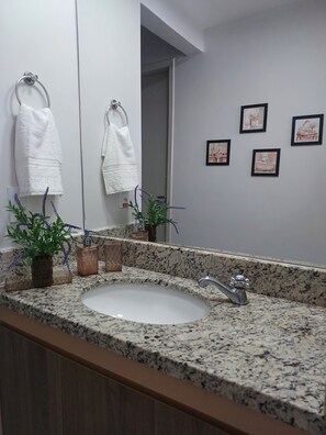 Bathroom features a granite countertop, white sink, and large mirror, with a wooden cabinet and framed artwork.