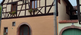 Alsatian vineyard near Colmar.